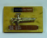 Gales Series Trophy