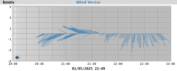 Wind Vector