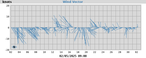 Wind Vector