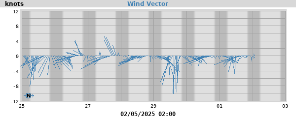 Wind Vector